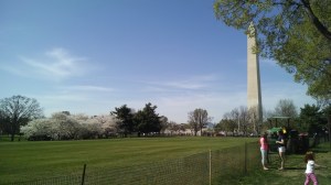 IMG_20150412_154630899