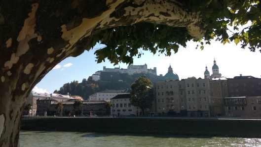 IMG_20170930_145123682