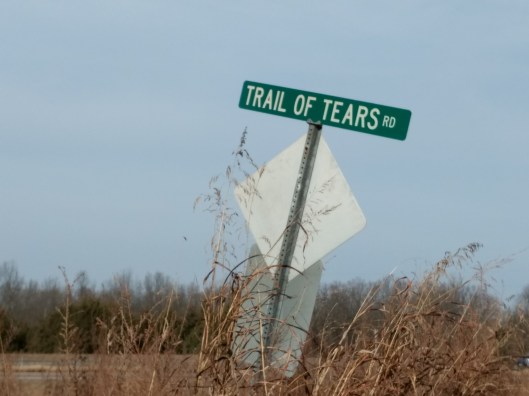 IMG_20171203_131844433