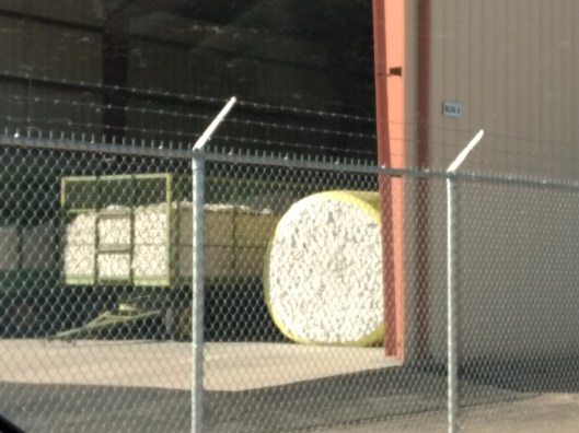 IMG_20171208_092543000