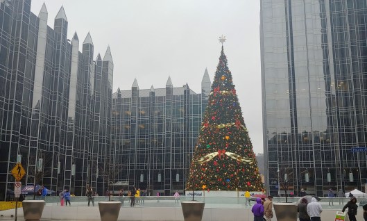 20181201_145502_HDR-1