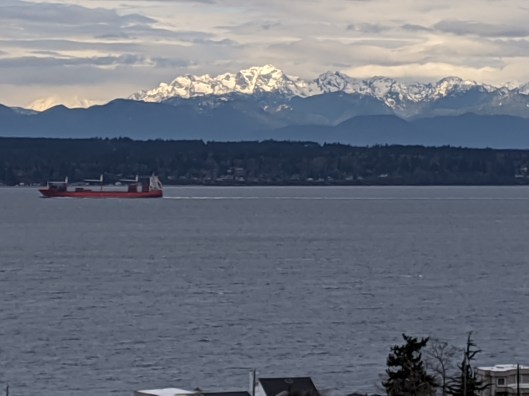 MVIMG_20200310_104122